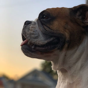 Meet your Posher, Kiauna